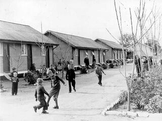 Creswick Dutch Families